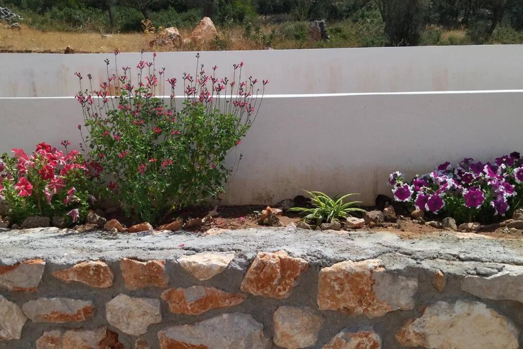 Smailis Apartment 1 Koroni  Buitenkant foto